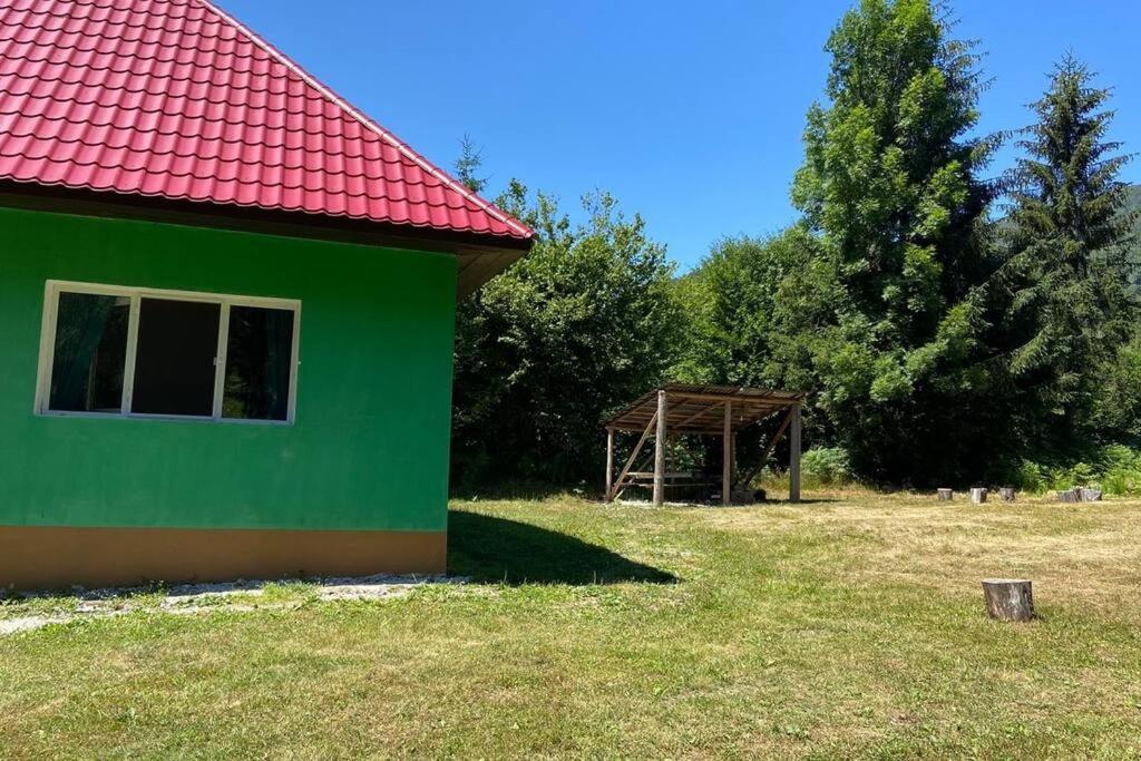 The Green House - Apuseni Mountains Pietroasa  Zewnętrze zdjęcie