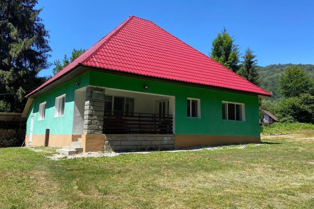 The Green House - Apuseni Mountains Pietroasa  Zewnętrze zdjęcie